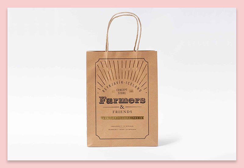 Retail Paper Bags (4)